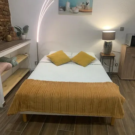 25m2 En Plein Coeur De Perpignan